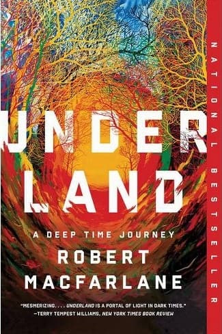 Book cover of Underland: A Deep Time Journey